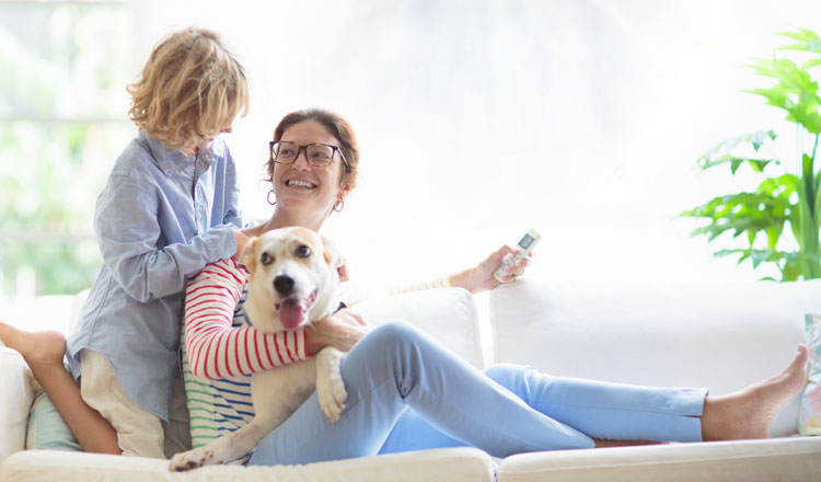 How Does Air Conditioning Work?