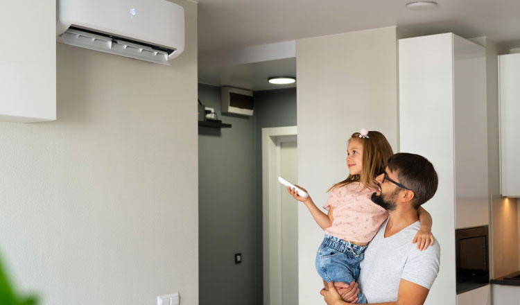 How Do I Improve My Indoor Air Quality?